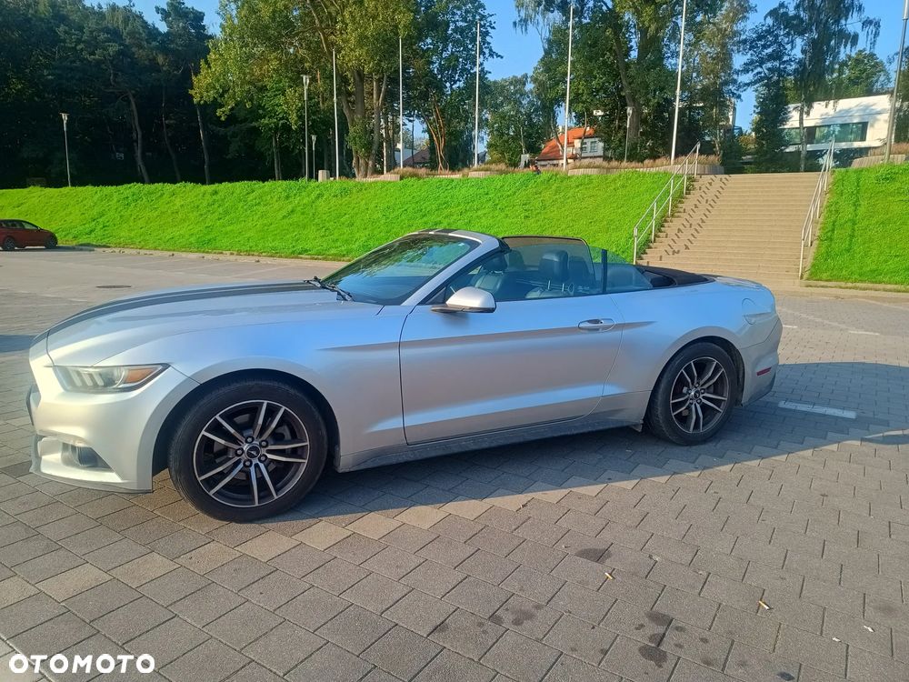 Ford Mustang Cabrio 2.3 Eco Boost - 2