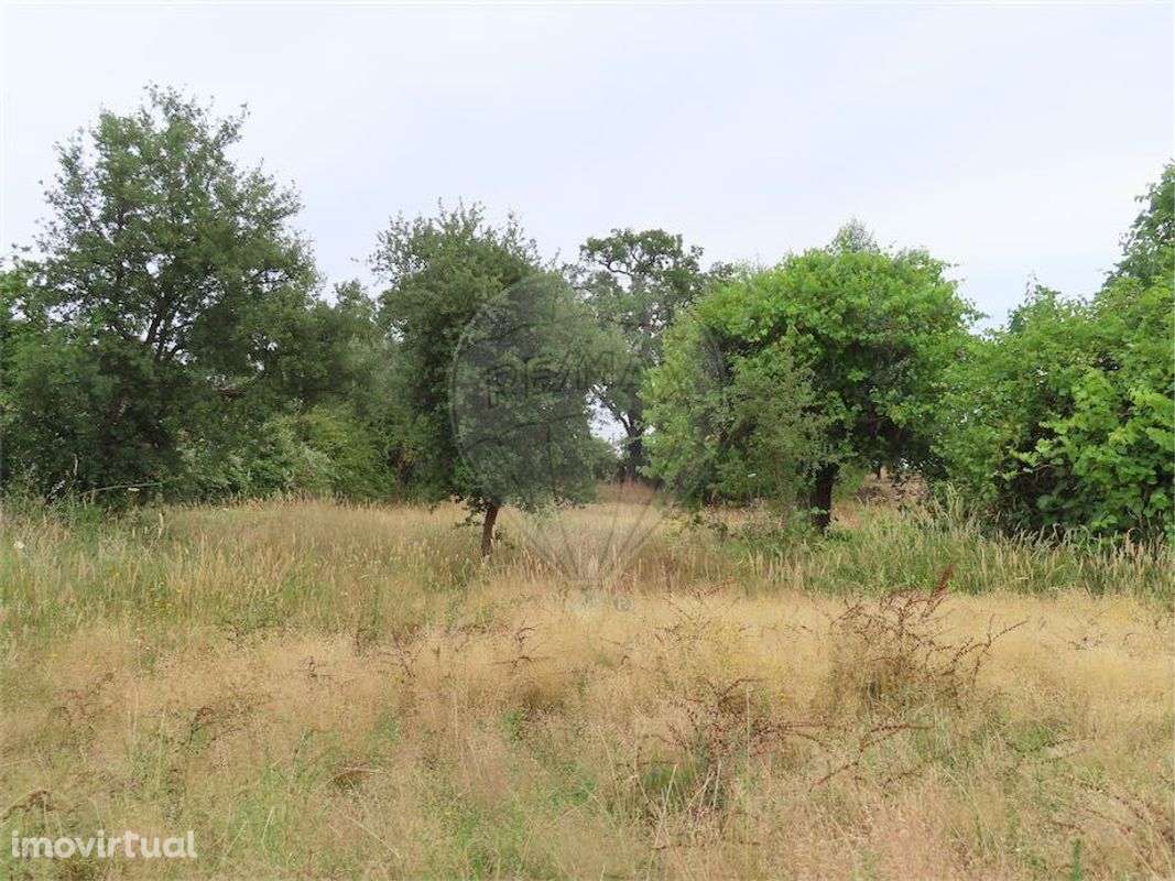 Quinta  para venda - Grande imagem: 3/42