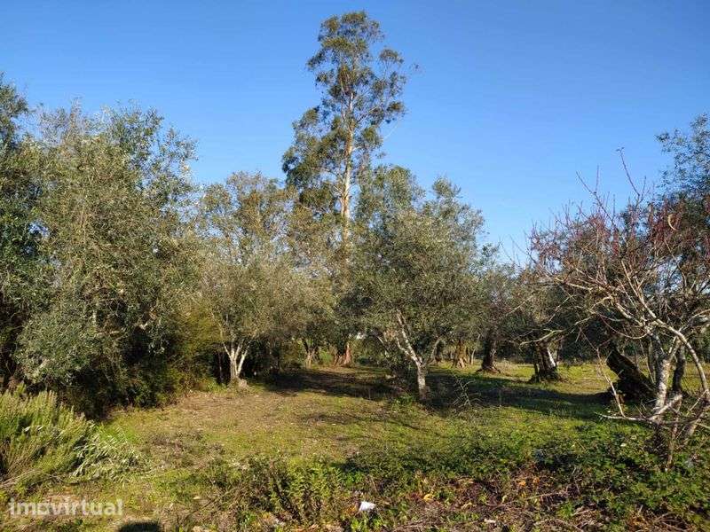 Vende-se Terreno Urbano à entrada da Vila da Lousã - Grande imagem: 4/7