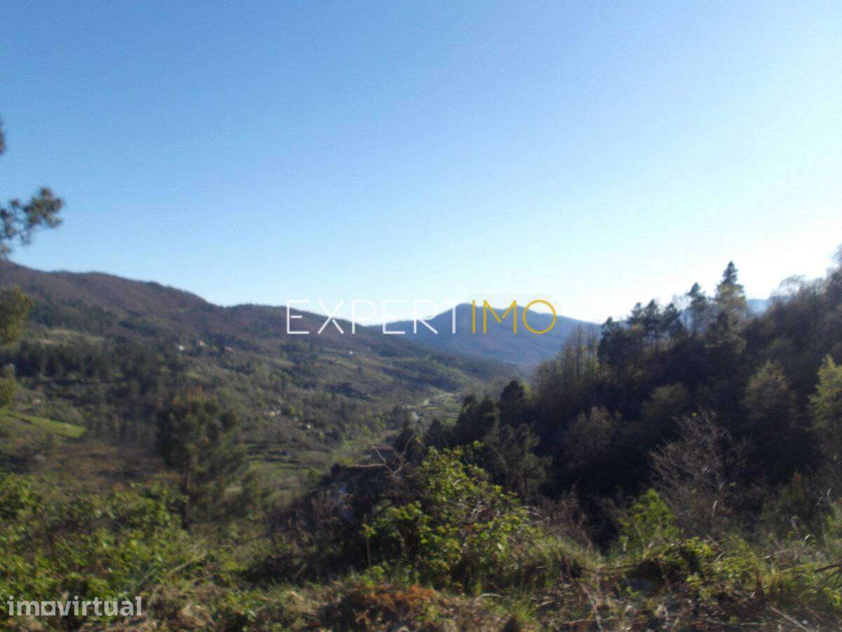 Quinta serra da estrela, terreno junto ao núcleo urbano - Guarda - Grande imagem: 4/44