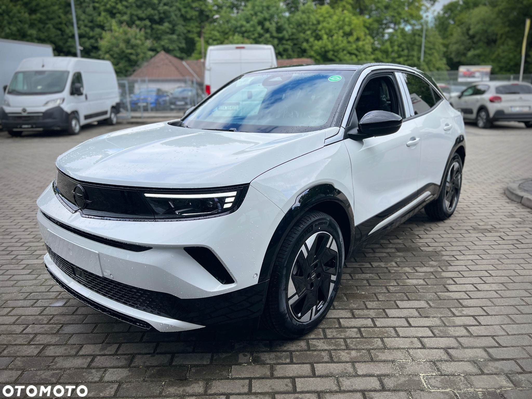 Opel Mokka Mokka-e 51kWh GS - 8