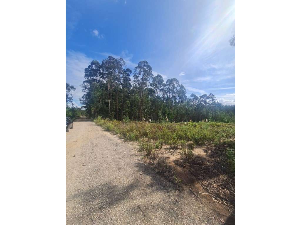 Terreno para construção em Picoto - Oliveirinha - Aveiro - Grande imagem: 3/7