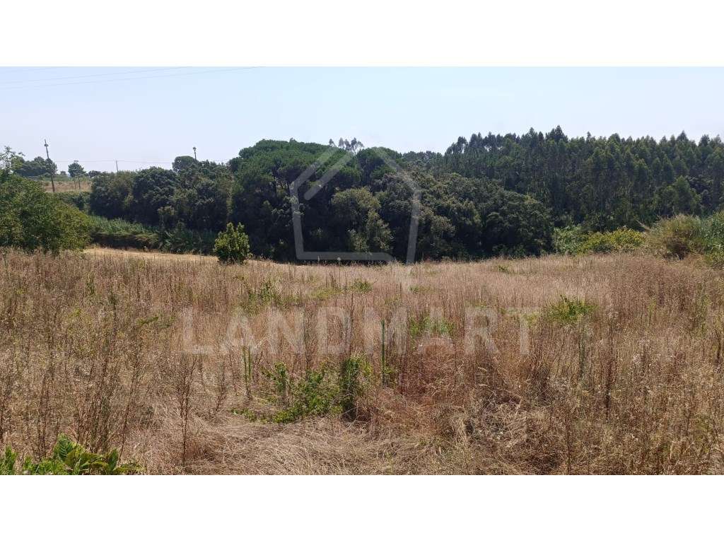 Terreno para construção - Ramalhosa - Grande imagem: 2/2