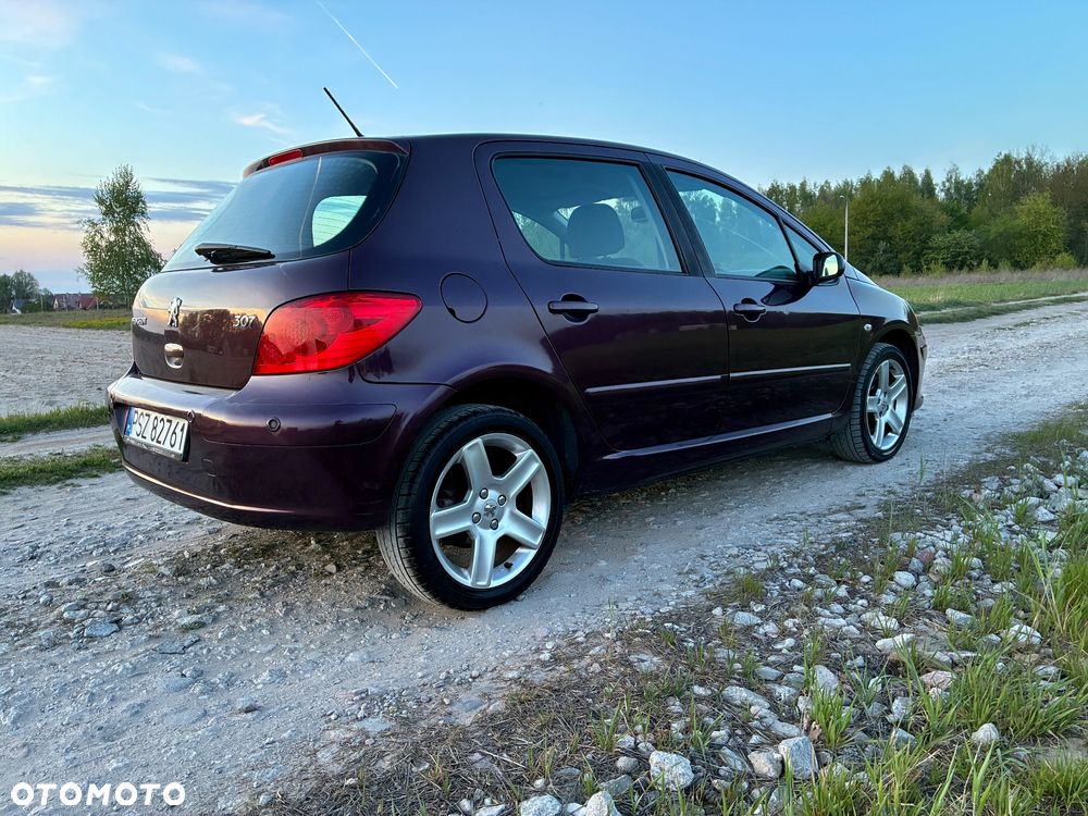 Peugeot 307 2.0 XT - 12