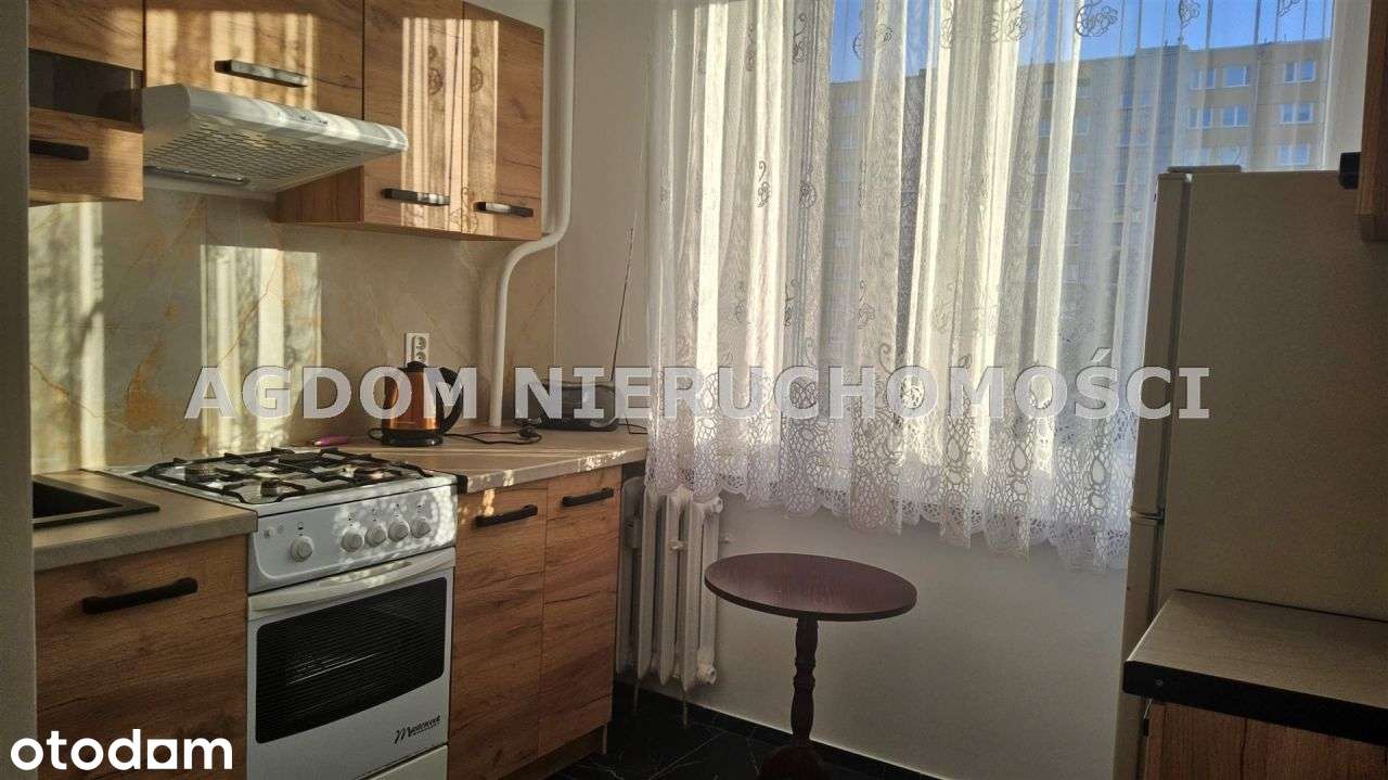 2-room apartment of 36 m²