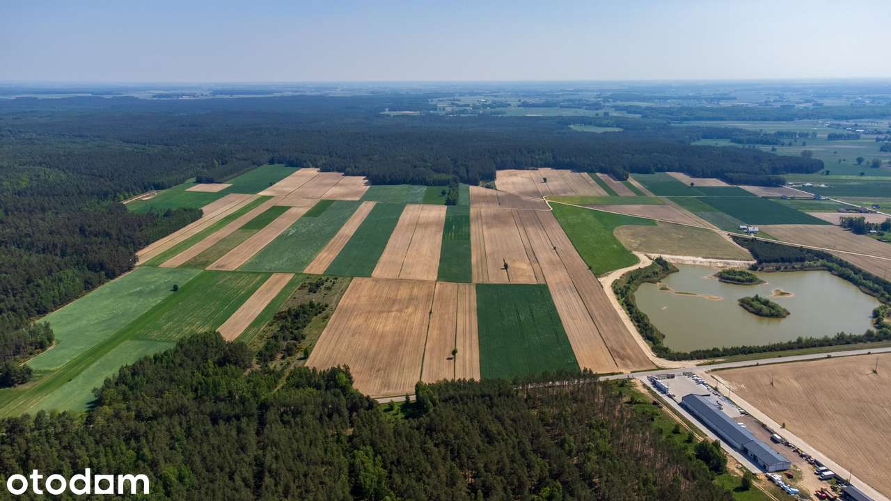 Działka inwestycyjna z MPZP pod zabudowę mieszkaniową 5 824 m² Szumowo - Pełny obrazek: 3/10