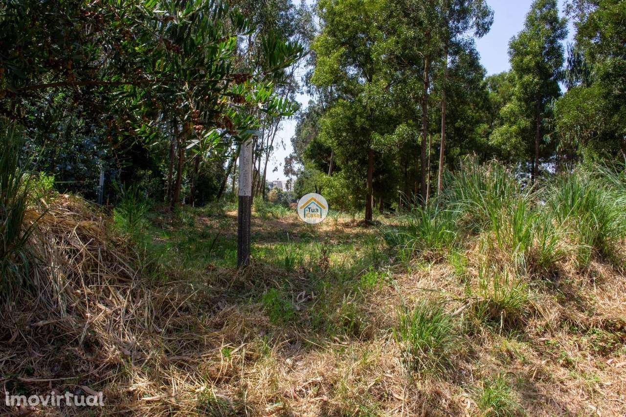 Terreno para Loteamento – Rio Meão, Santa Maria da Feira - Grande imagem: 3/19
