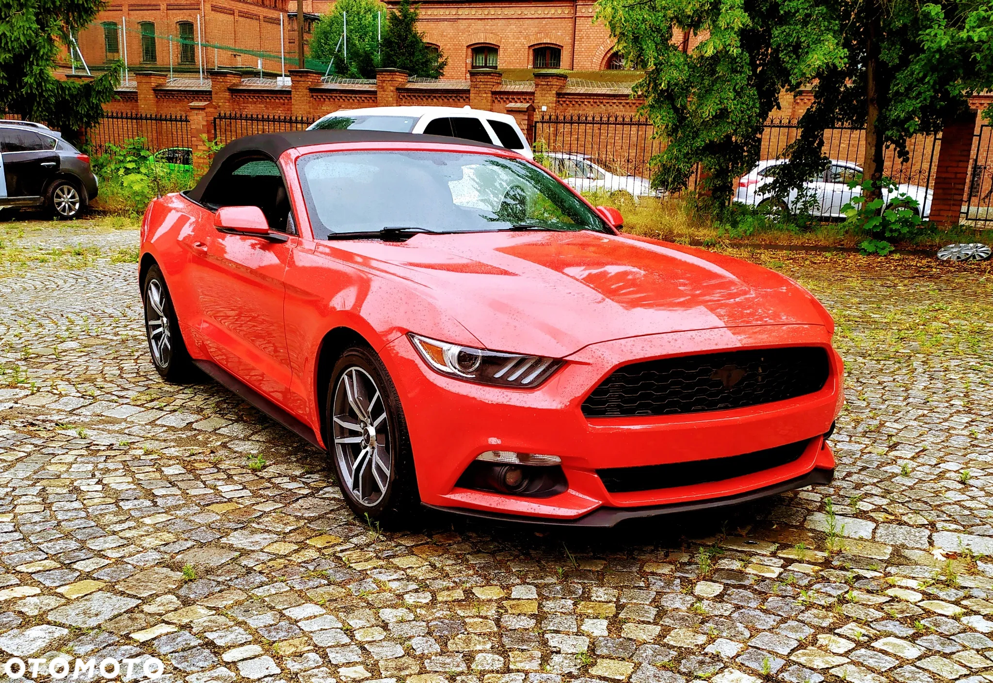 Ford Mustang 2.3 EcoBoost - 7