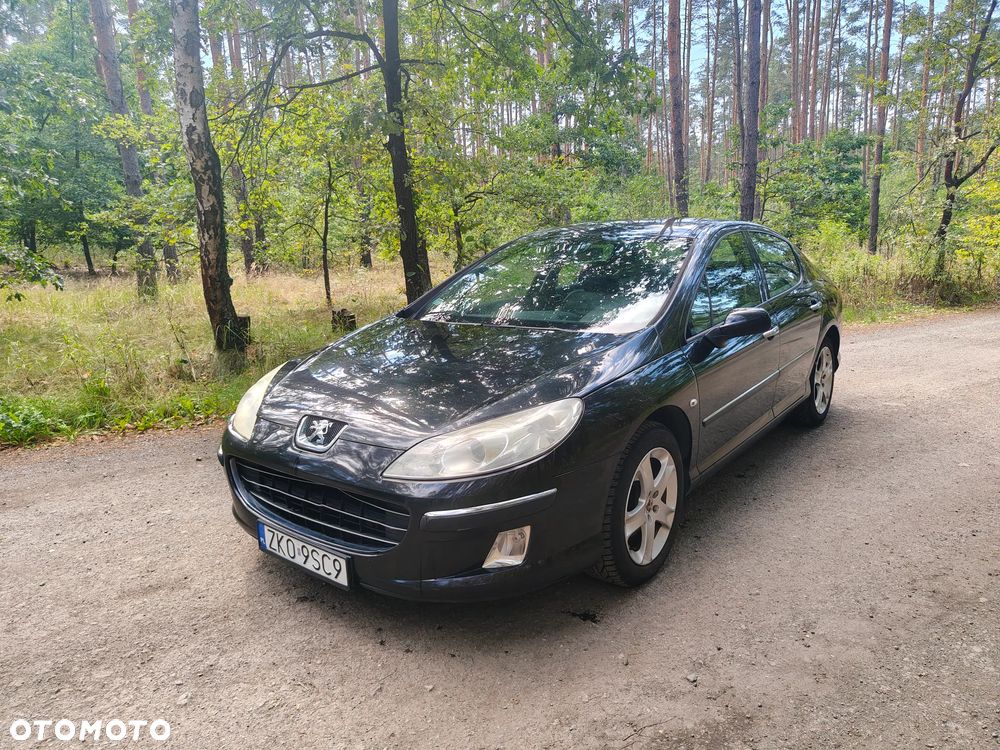 Peugeot 407 2007 photo 2