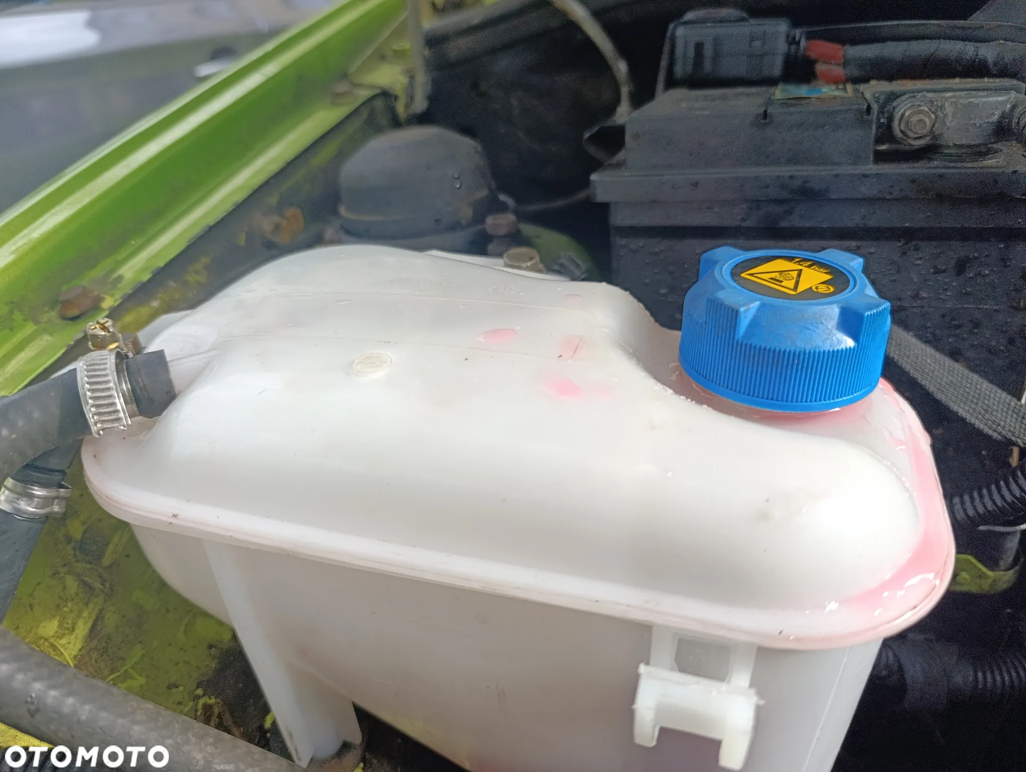 Fiat Cinquecento 704 Young Maquillage - 13