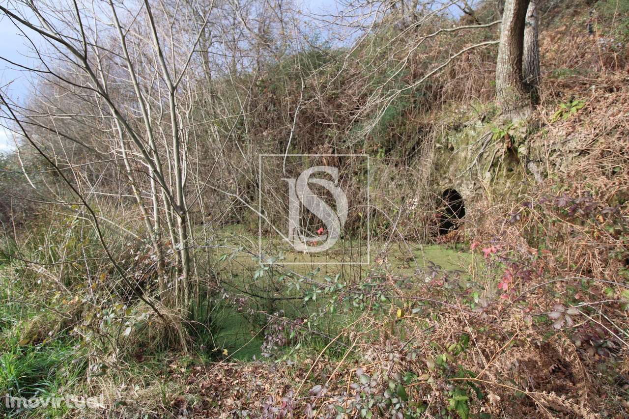 Terreno  Venda em Salvador do Monte,Amarante - Grande imagem: 3/16