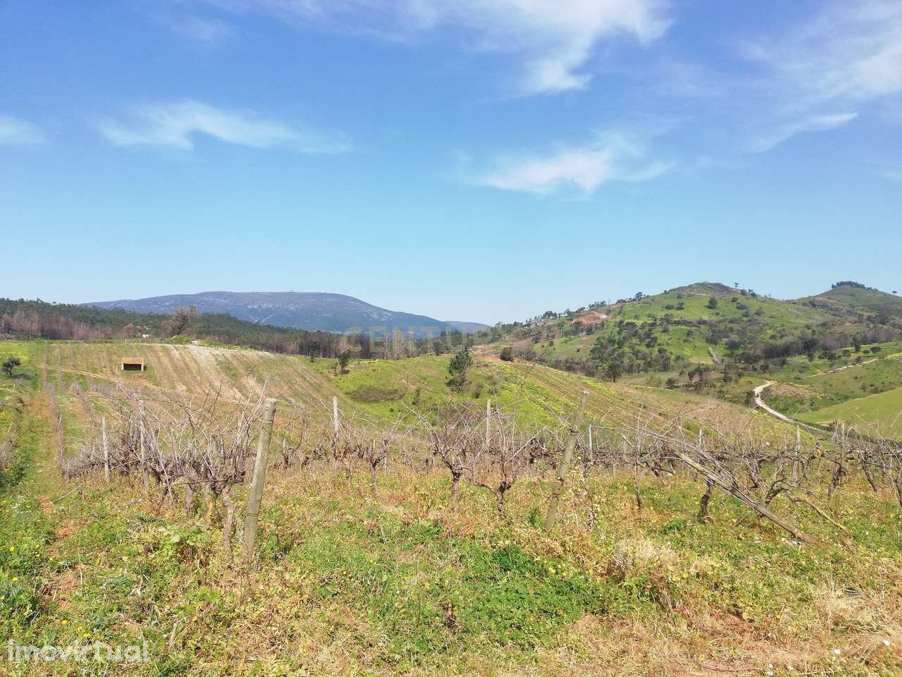 Terreno Rústico Meca - Alenquer - Grande imagem: 2/13