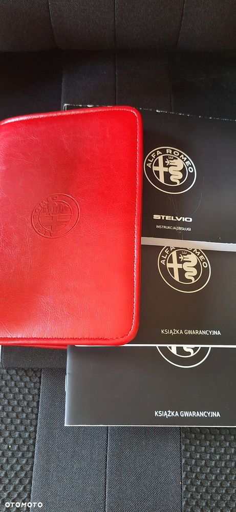 Alfa Romeo Stelvio 2.0 Turbo Veloce Q4 - 25