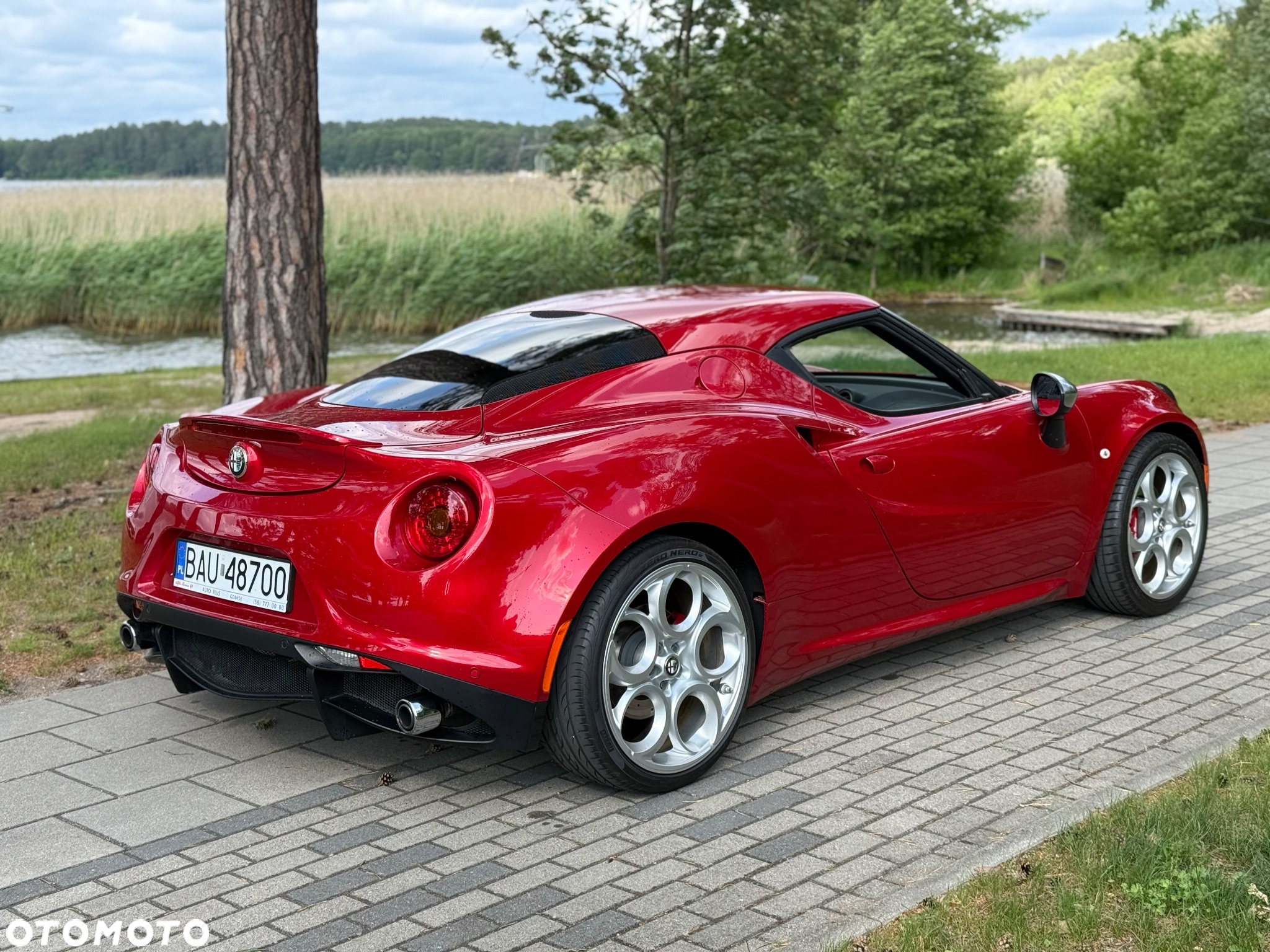 Alfa Romeo 4C - 6