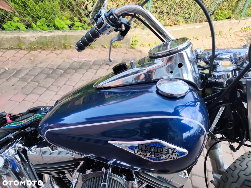Harley-Davidson Softail Heritage Classic - 6