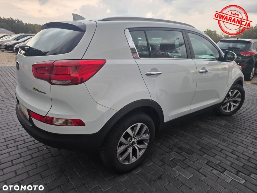 Kia Sportage - 14