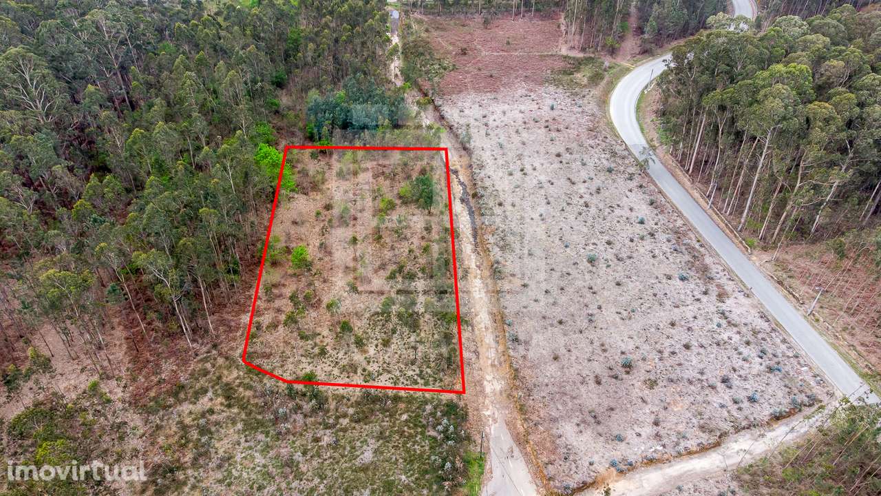 Terreno rústico com 4.100 m2 em Válega - Grande imagem: 2/11