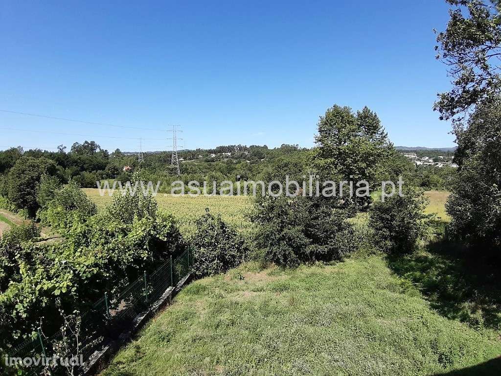 Quinta c/ Casa em Pedra p/ Restauro - Fiscal - Grande imagem: 3/31