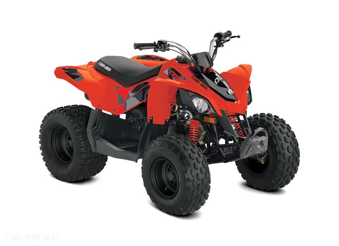Can-Am DS - 2