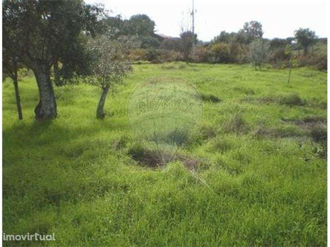 Terreno  para venda - Grande imagem: 4/10