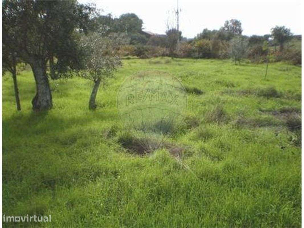 Terreno  para venda - Grande imagem: 4/10