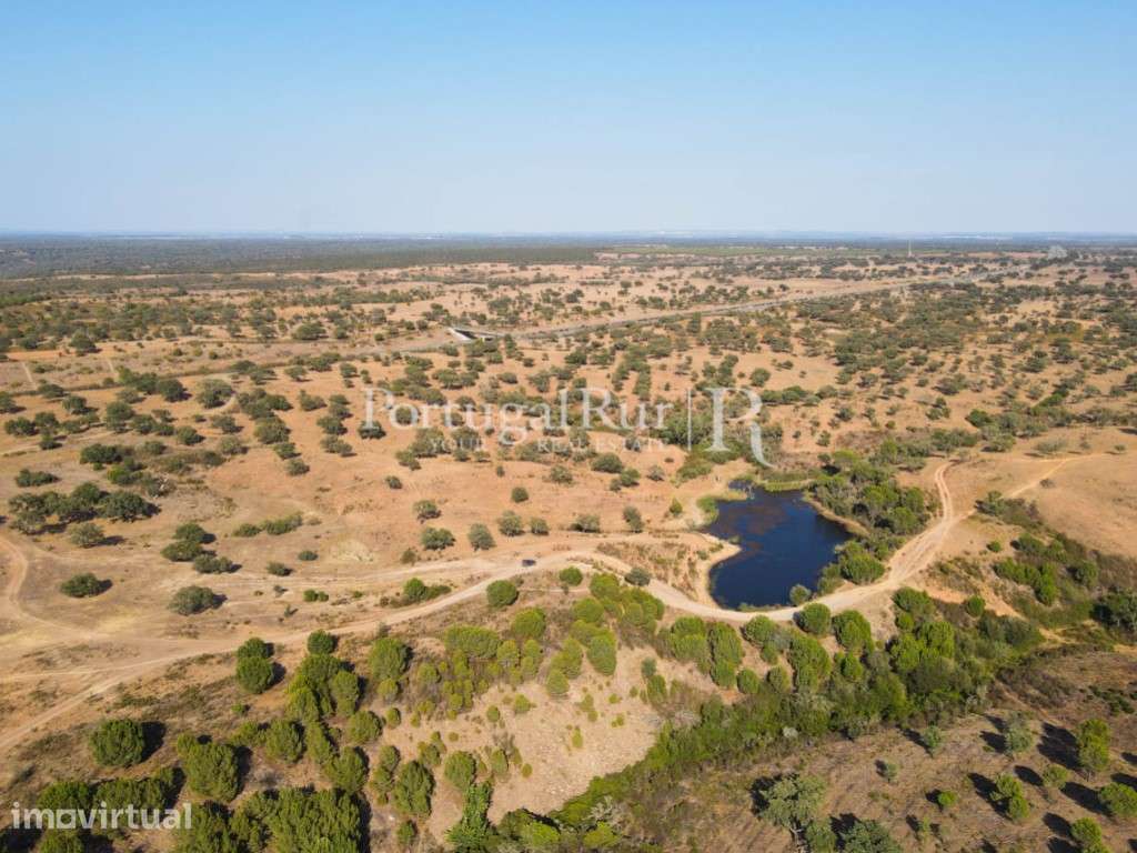 Herdade com 134 hectares em Beja - Grande imagem: 2/50