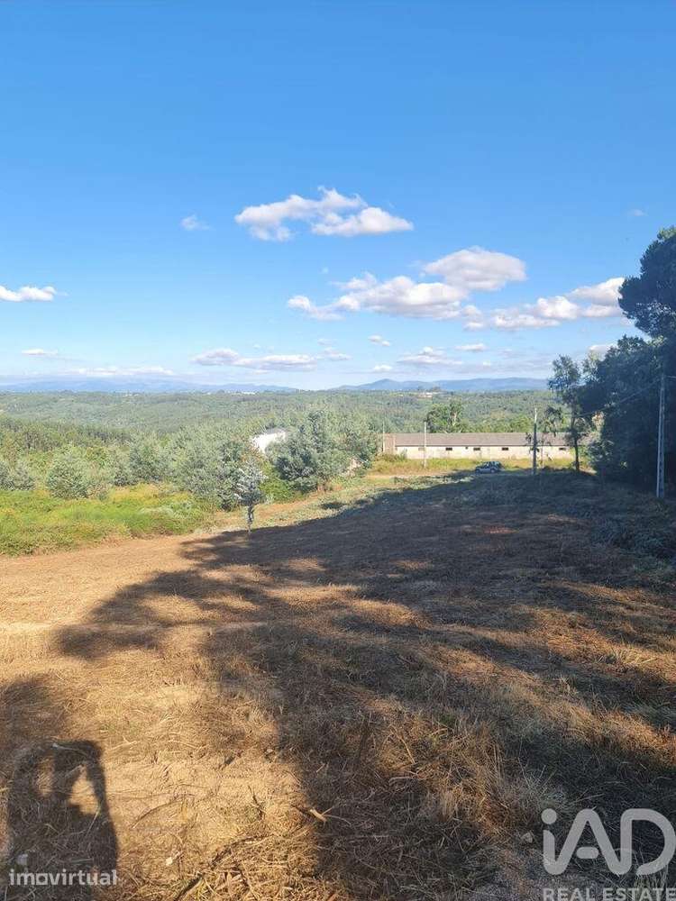 Terreno para construção em Santa Comba Dão e Couto do Mosteiro - Grande imagem: 2/27