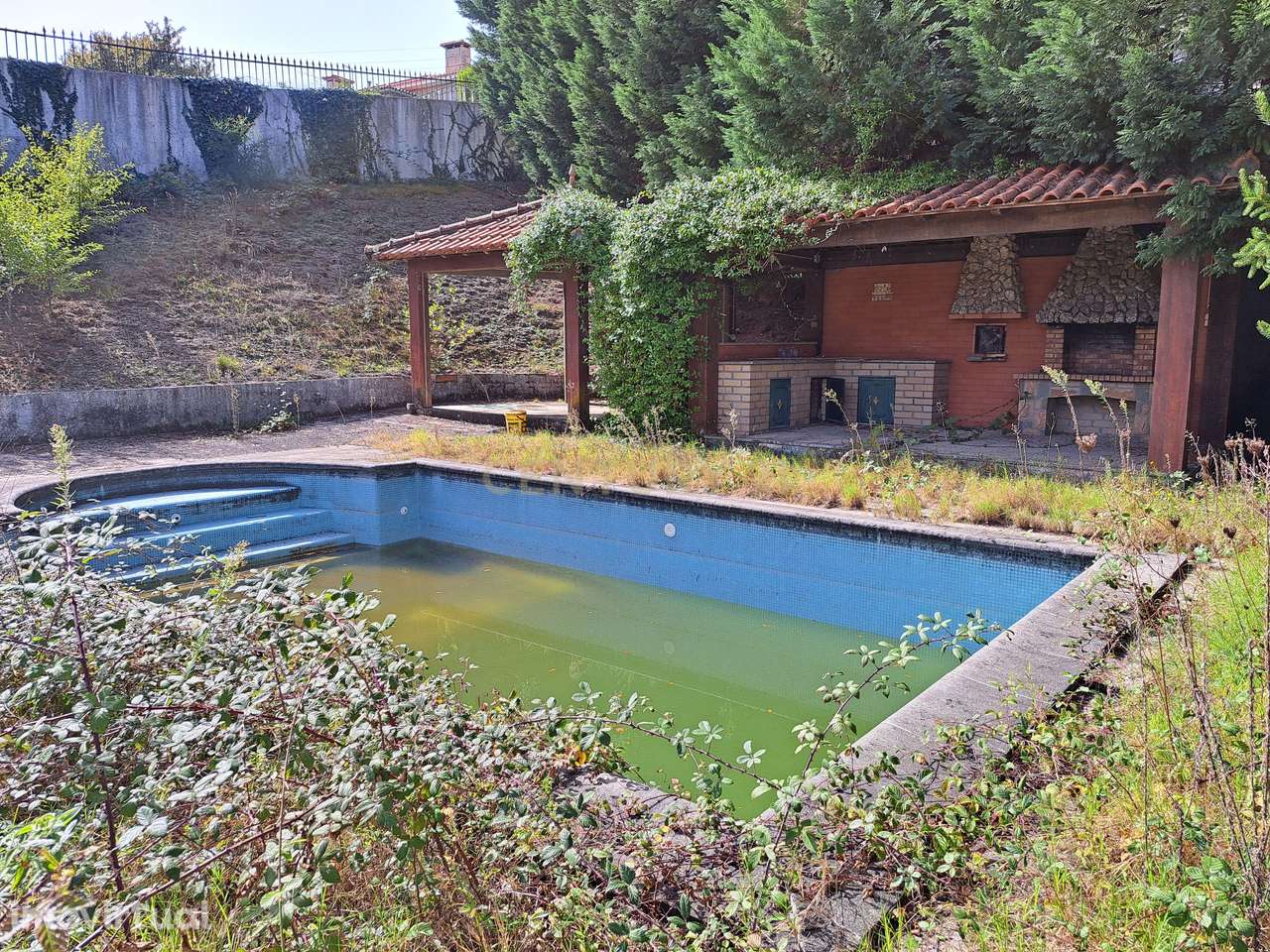 QUINTA EM MARCO DE CANAVESES - Grande imagem: 3/18