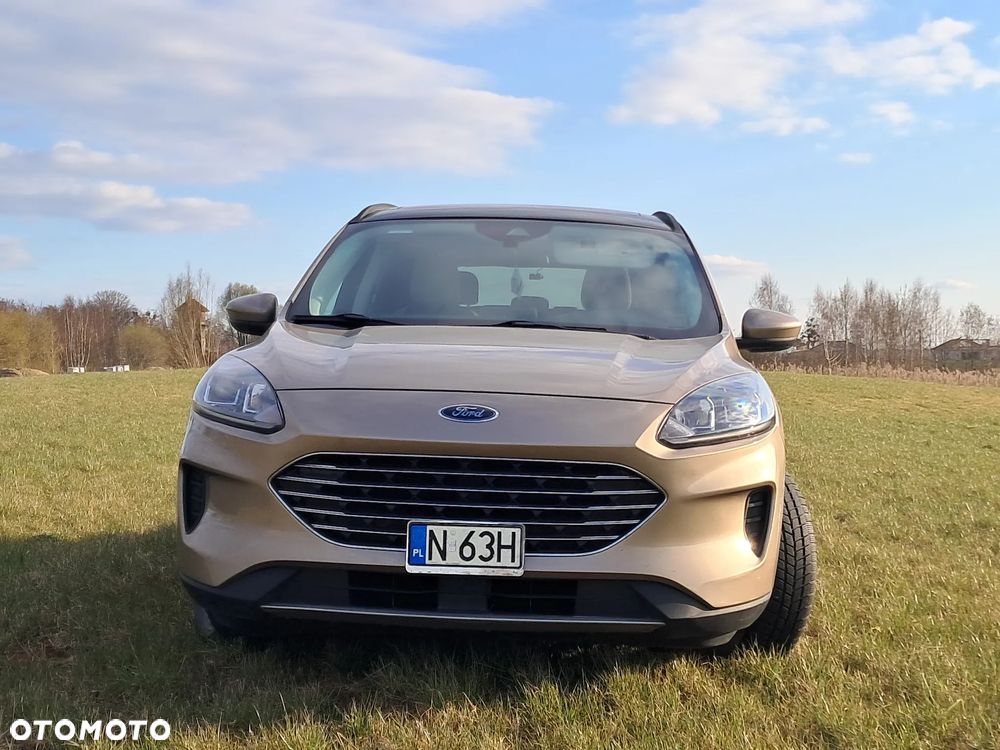 Ford Escape - 13