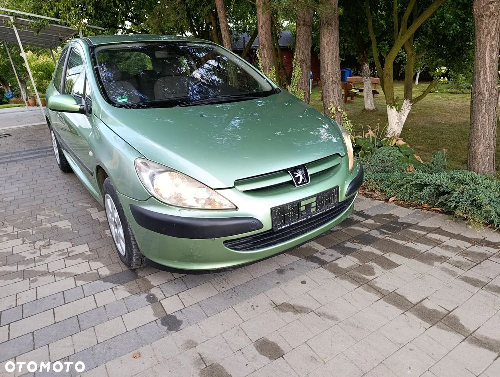 Peugeot 307 110 Grand Filou - 18