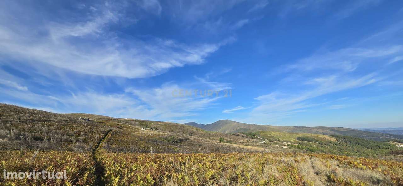 Terreno à venda em Gestaçô, Baião - Oportunidade Única! - Grande imagem: 5/5