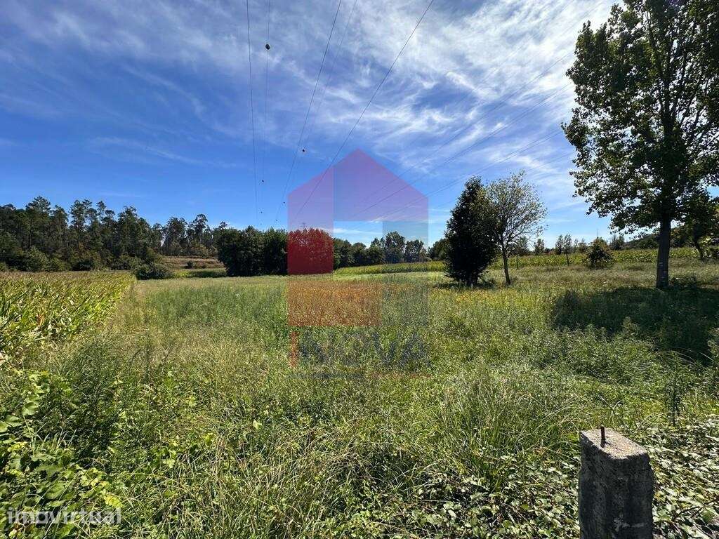 Terreno agrícola,  Escariz São Mamede - Grande imagem: 5/10