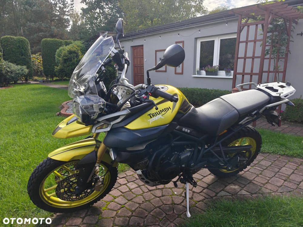 Triumph Tiger - 2