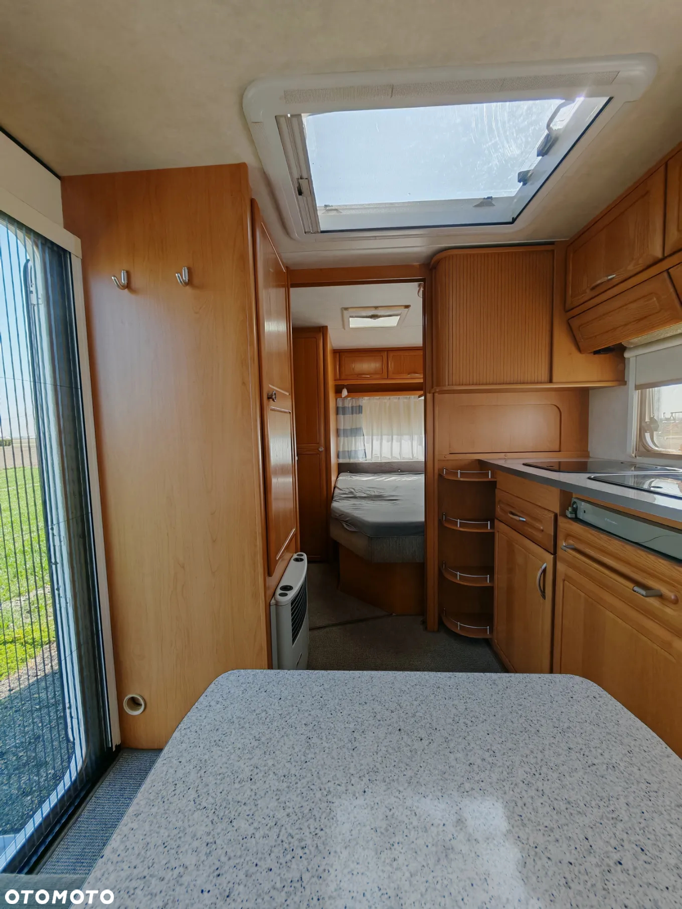 Wilk 490 - 37