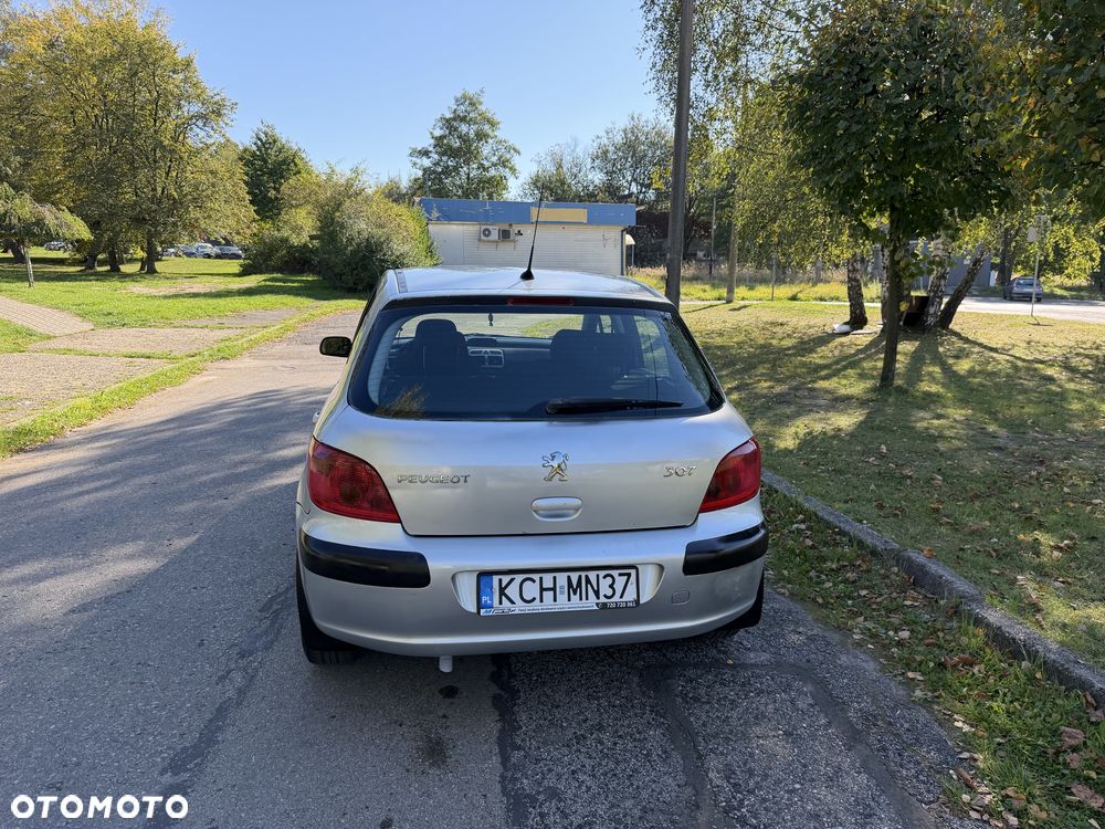 Peugeot 307 - 4
