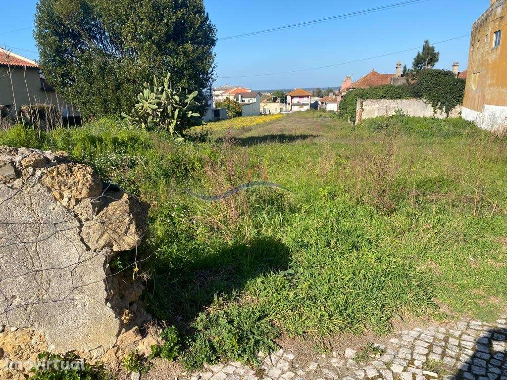 Terreno - Monte Real - Grande imagem: 4/15