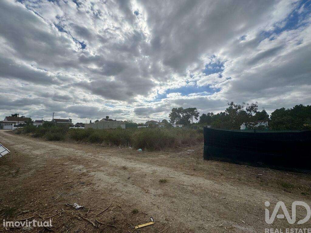 Terreno Agrícola em Quinta do Anjo - Grande imagem: 3/4