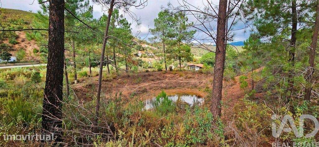 Terreno Agrícola em Mexilhoeira Grande - Grande imagem: 4/25