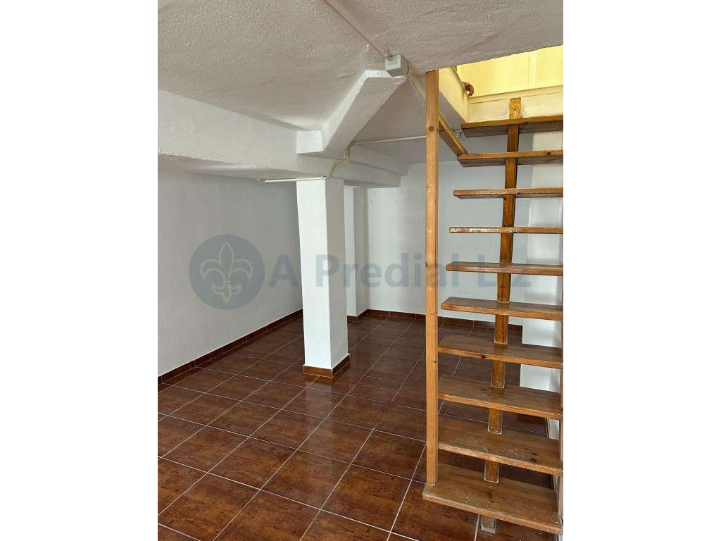 T2 + 2 em Belém - Grande imagem: 5/6