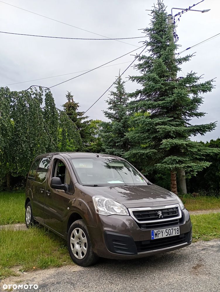 Peugeot Inny - 1