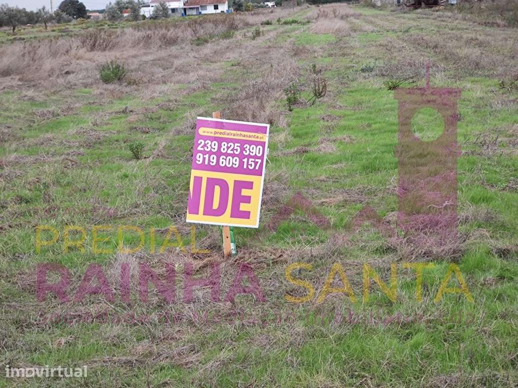 Terreno rustico COM POÇO E ELETRICIDADE NO TERRENO-Alpiarça