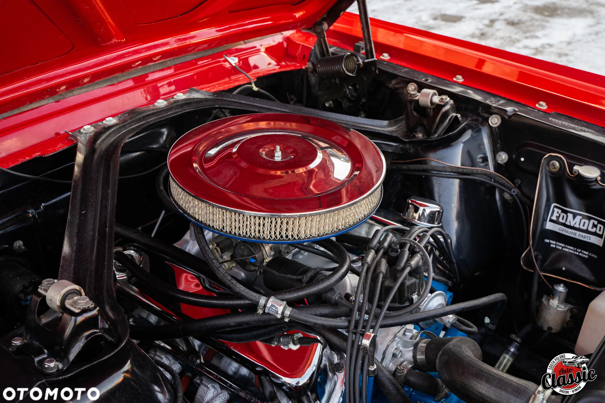 Ford Mustang - 8