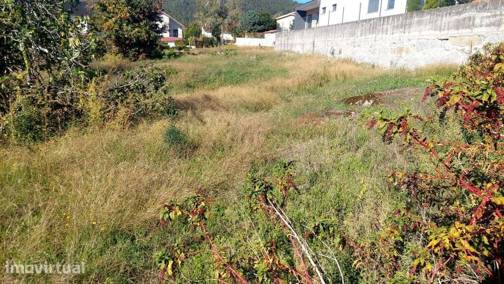 Terreno c/ moradia em Ruínas - Donim - Grande imagem: 5/5