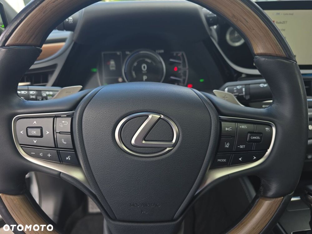 Lexus ES 300h Omotenashi - 16