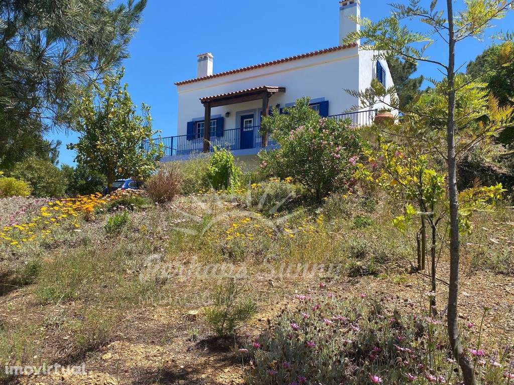 Quinta - Melides - Grande imagem: 5/60