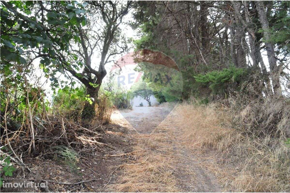 Terreno  para venda - Grande imagem: 2/12