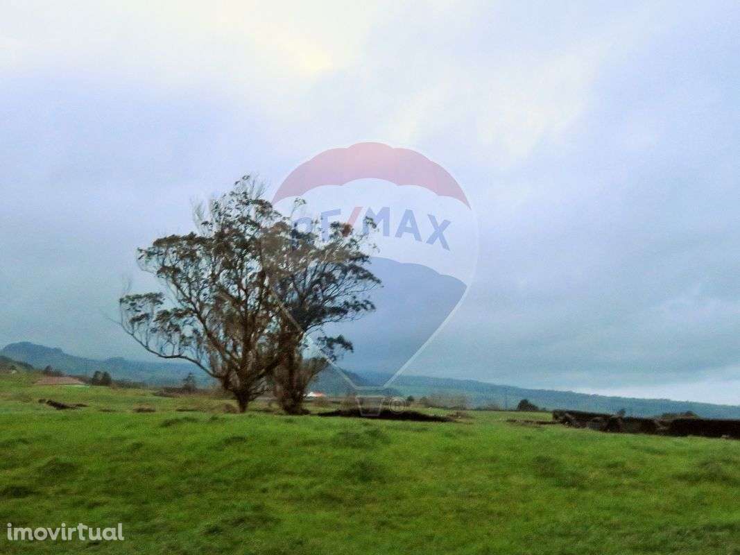 Terreno  para venda - Grande imagem: 4/8