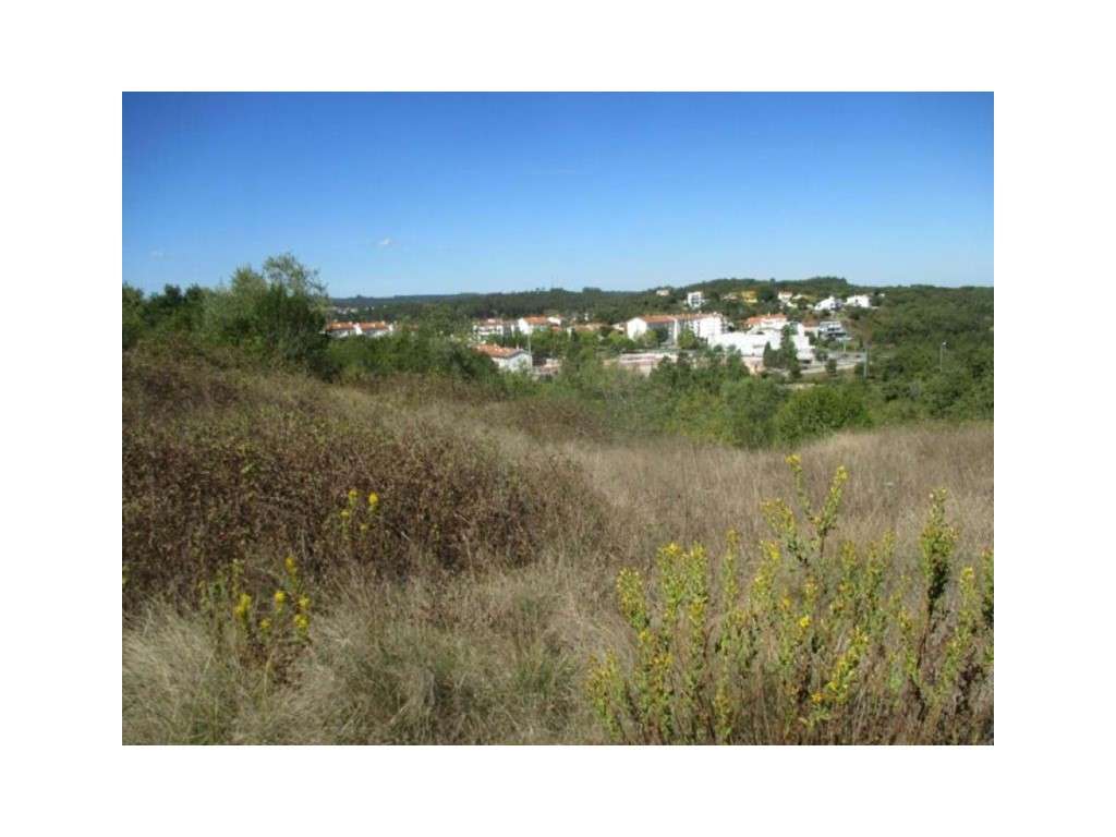 Terreno rústico com 2954m2 em Soure - Grande imagem: 2/5