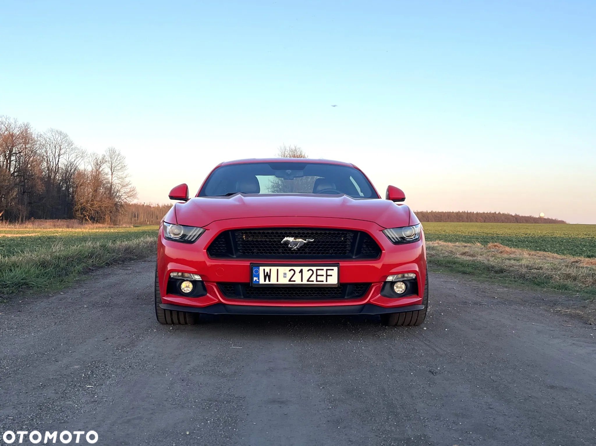 Ford Mustang 5.0 V8 GT - 14