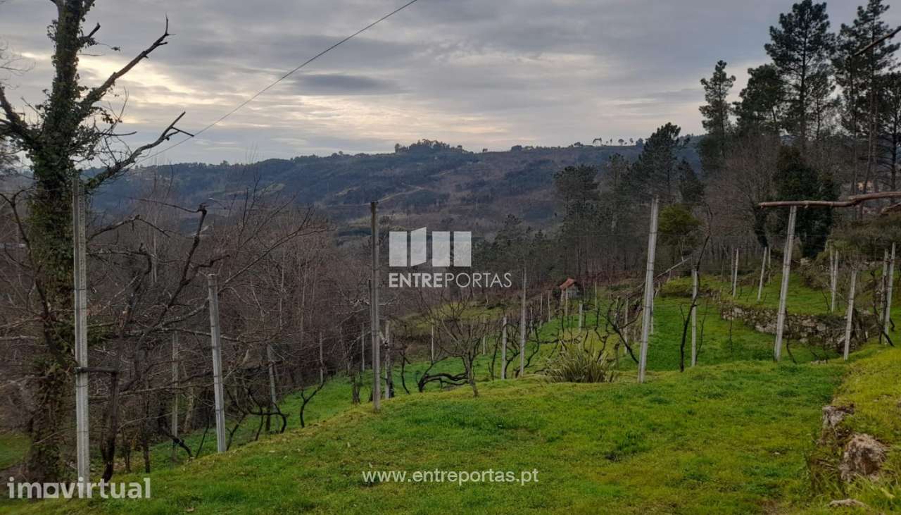 Venda Terreno, Gouveia (São Simão), Amarante - Grande imagem: 3/30